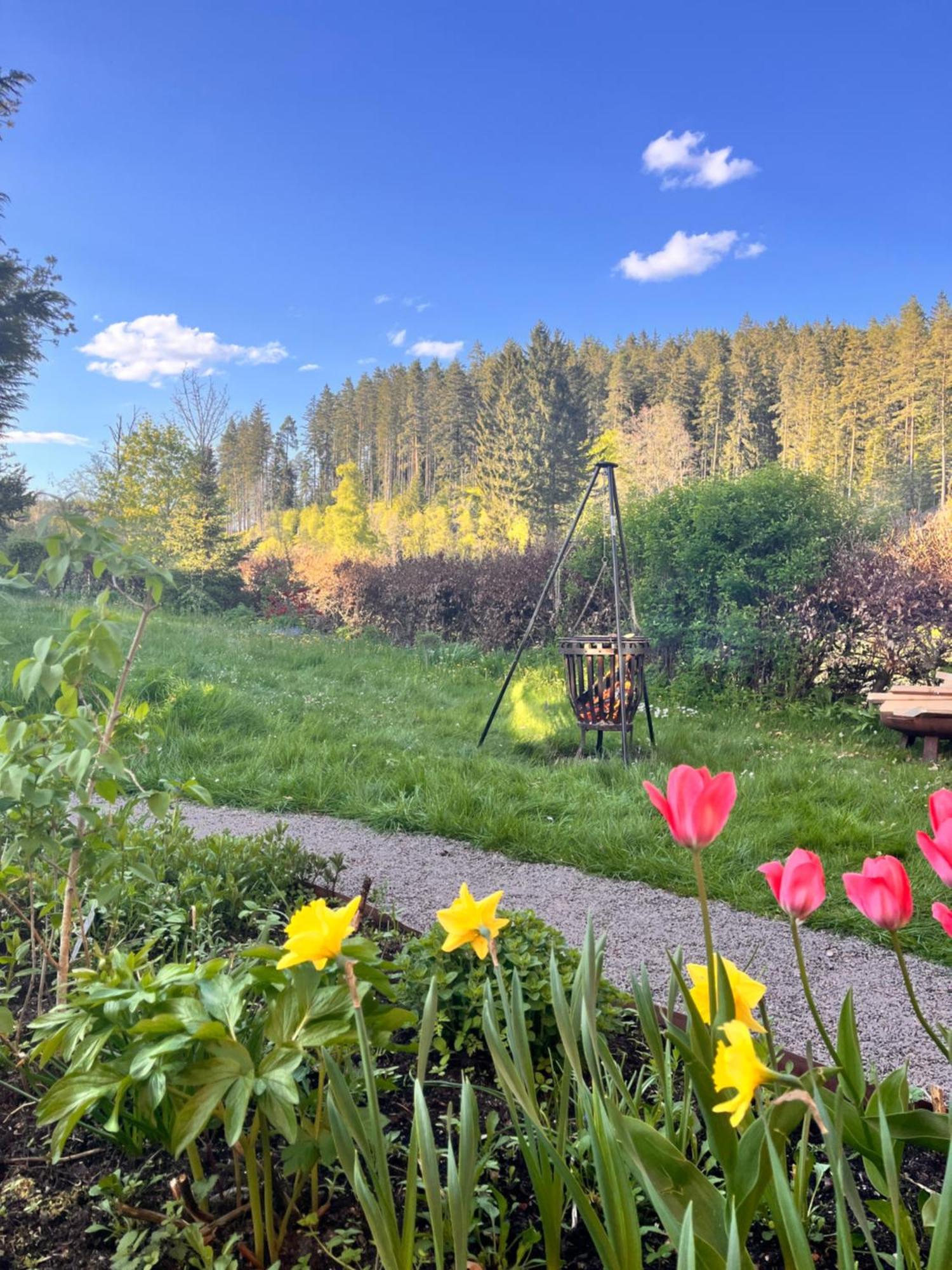 Haus Am See - Natur Pur Friedenweiler Exterior foto